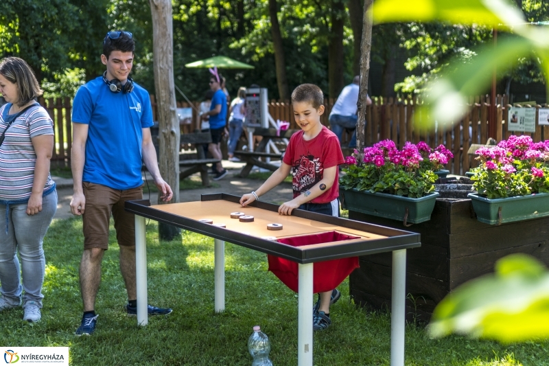 Családok éve gyermeknapi program az Állatparkban - fotó Kohut Árpád