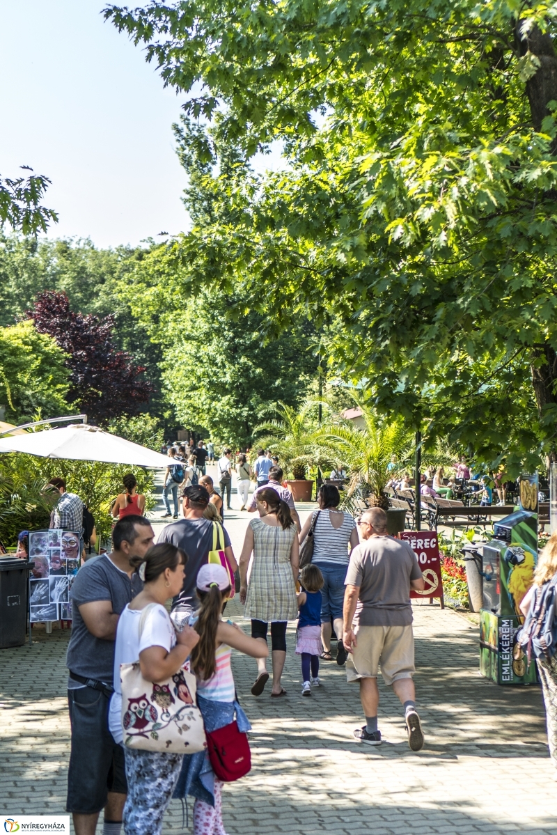 Családok éve gyermeknapi program az Állatparkban - fotó Kohut Árpád