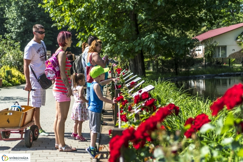 Családok éve gyermeknapi program az Állatparkban - fotó Kohut Árpád