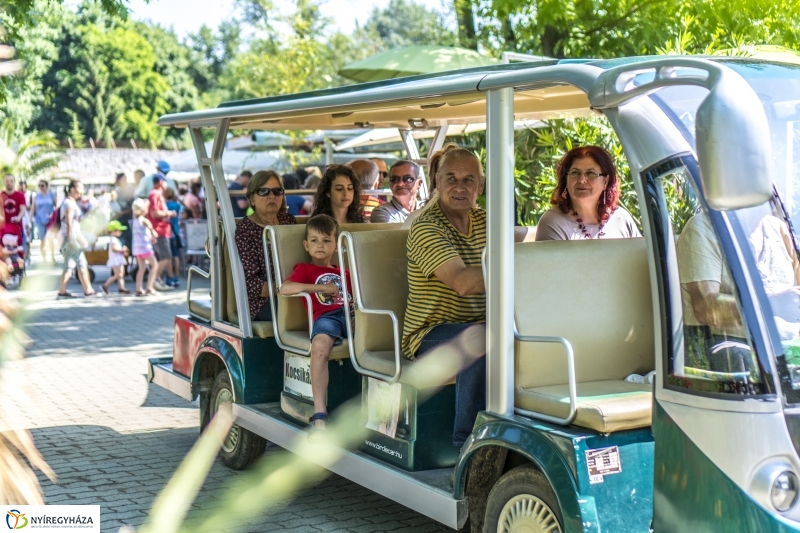 Családok éve gyermeknapi program az Állatparkban - fotó Kohut Árpád