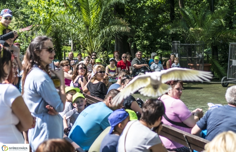 Családok éve gyermeknapi program az Állatparkban - fotó Kohut Árpád