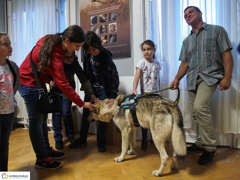 Múzeumok Éjszakája 2018 - fotó Szarka Lajos