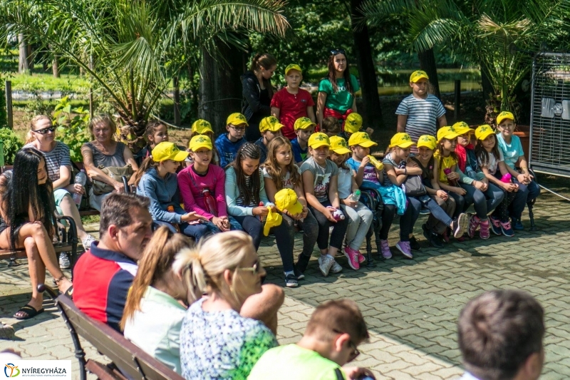 Zoo Suli a Nyíregyházi Állatparkban - Fotó Kohut Árpád