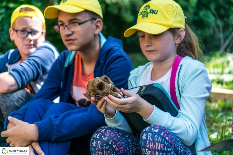 Zoo Suli a Nyíregyházi Állatparkban - Fotó Kohut Árpád