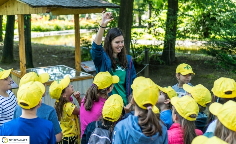 Zoo Suli a Nyíregyházi Állatparkban - Fotó Kohut Árpád