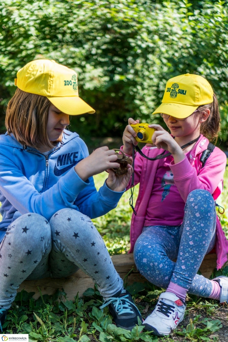 Zoo Suli a Nyíregyházi Állatparkban - Fotó Kohut Árpád