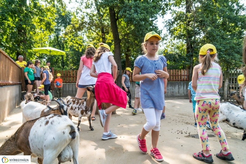 Nem unatkoznak a diákok a Zoo Suliban - fotó Kohut Árpád