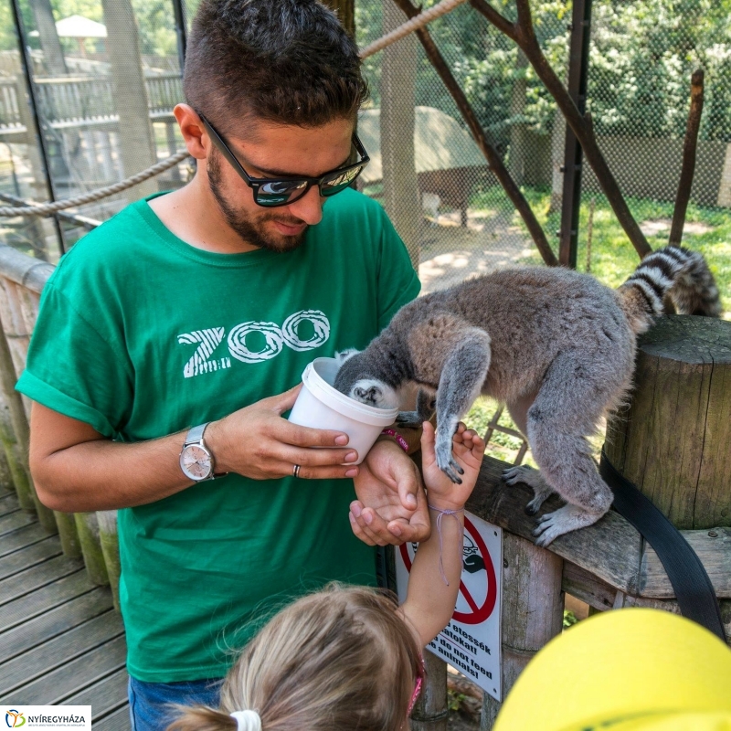 Nem unatkoznak a diákok a Zoo Suliban - fotó Kohut Árpád