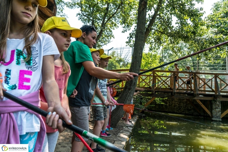 Nem unatkoznak a diákok a Zoo Suliban - fotó Kohut Árpád