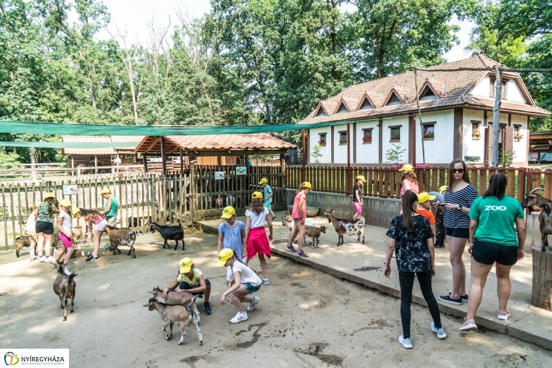 Nem unatkoznak a diákok a Zoo Suliban - fotó Kohut Árpád