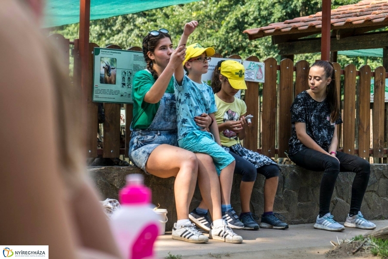 Nem unatkoznak a diákok a Zoo Suliban - fotó Kohut Árpád