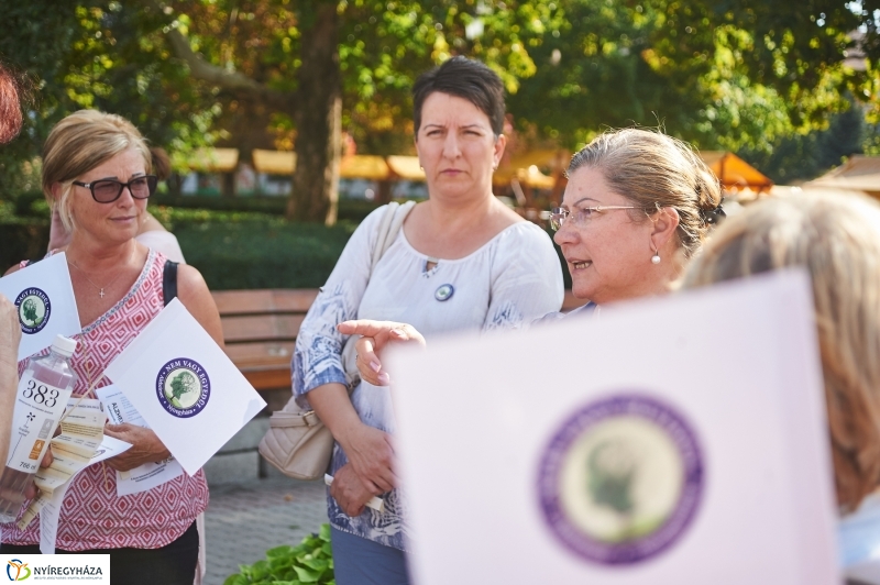 Alzheimer séta a belvárosban - fotó Szarka Lajos