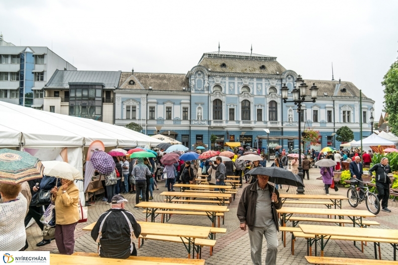 Esőben is jóízű a Tirpák Fesztivál - fotó Kohut Árpád