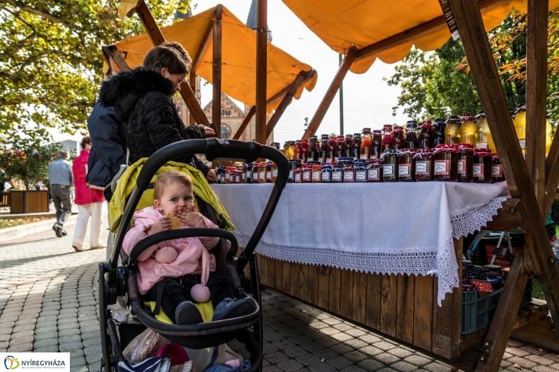 Kisütött a nap a Tipák Fesztiválon - fotó Kohut Árpád