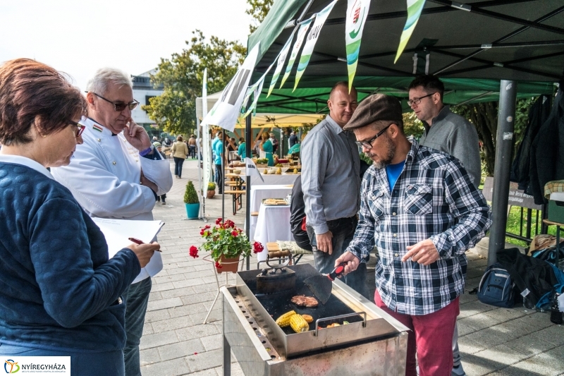 Kisütött a nap a Tipák Fesztiválon - fotó Kohut Árpád