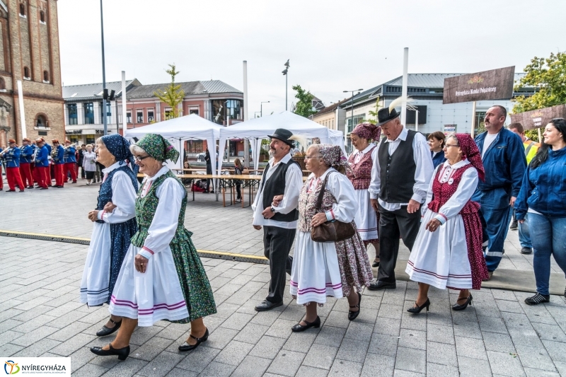 Kisütött a nap a Tipák Fesztiválon - fotó Kohut Árpád