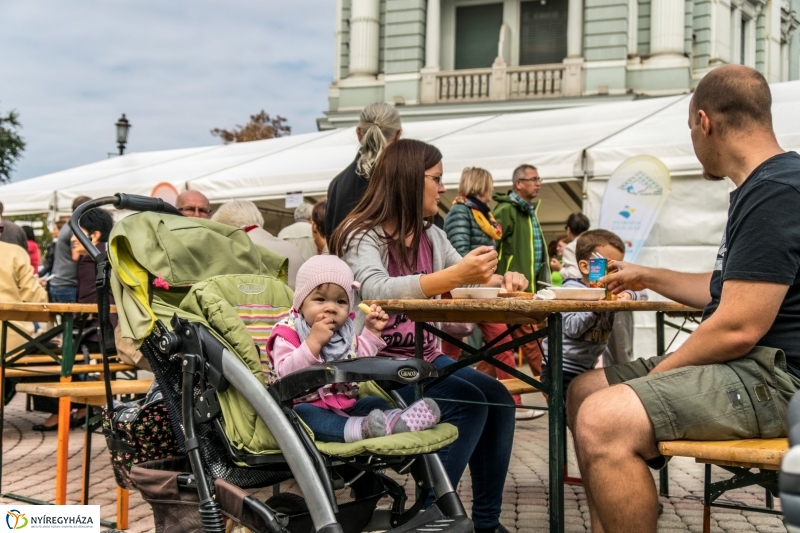 Kisütött a nap a Tipák Fesztiválon - fotó Kohut Árpád