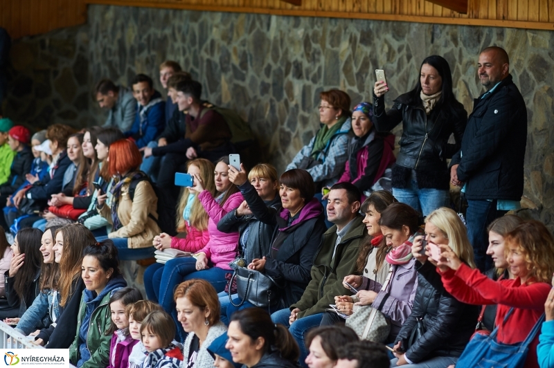 Ukrán szakemberek látogattak el az Állatparkba