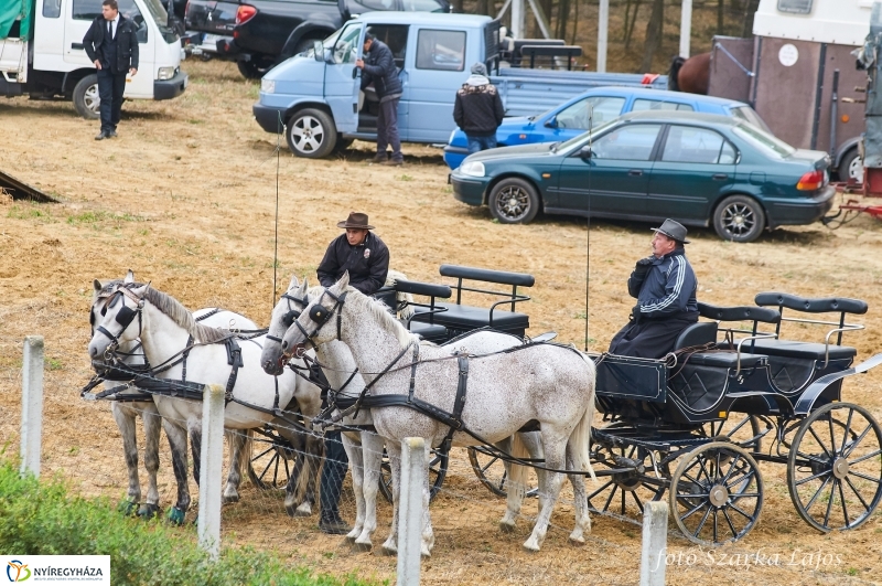 Fogathajtó verseny Oroson - fotó Szarka Lajos