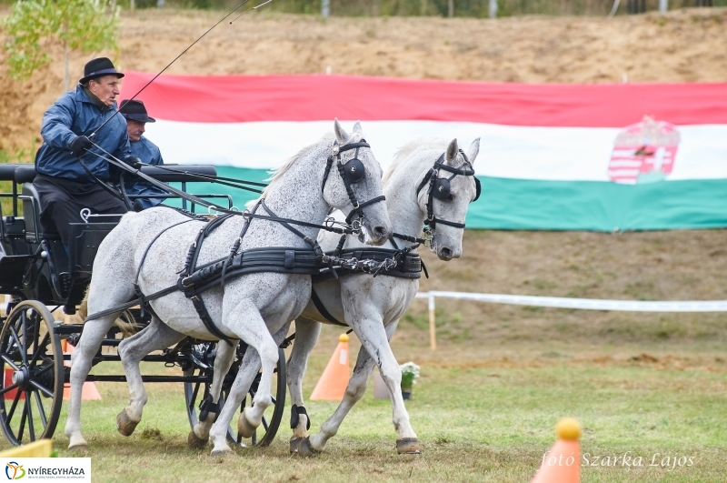 Fogathajtó verseny Oroson - fotó Szarka Lajos