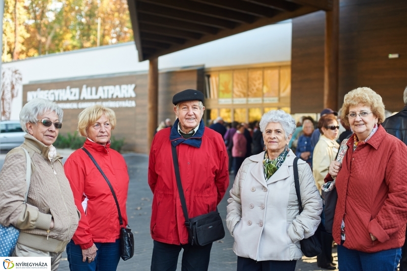 Ingyenes belépő nyugdíjasoknak - fotó Szarka Lajos