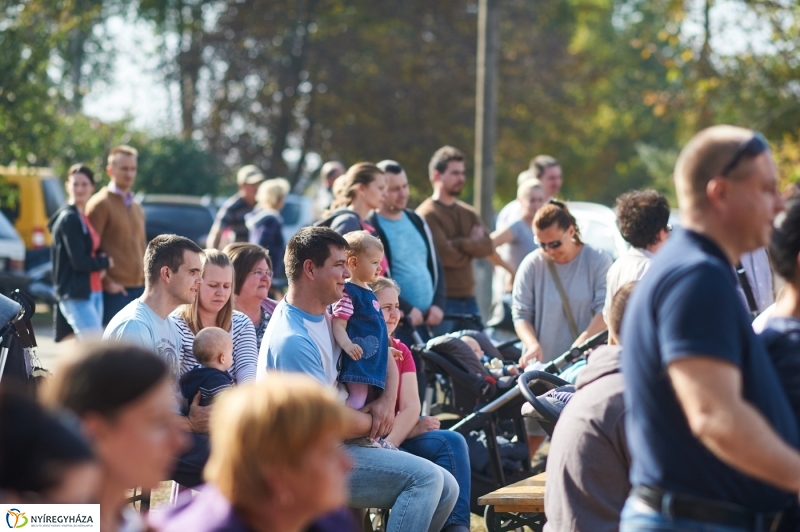 Faültetés a ligetben - fotó Szarka Lajos