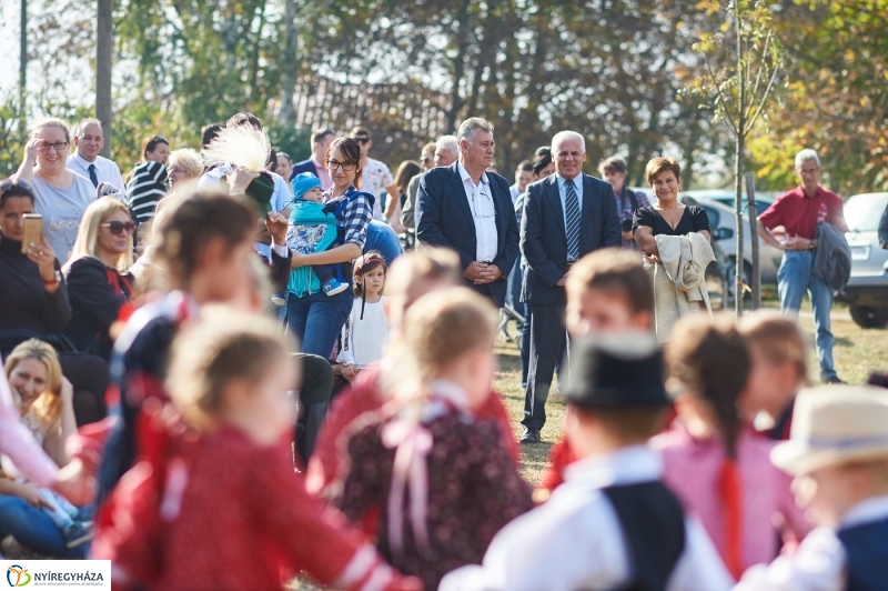 Faültetés a ligetben - fotó Szarka Lajos