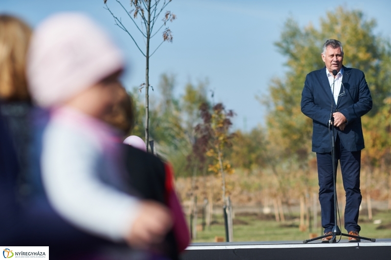 Faültetés a ligetben - fotó Szarka Lajos