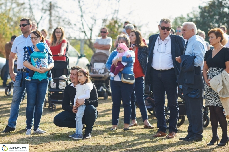 Faültetés a ligetben - fotó Szarka Lajos