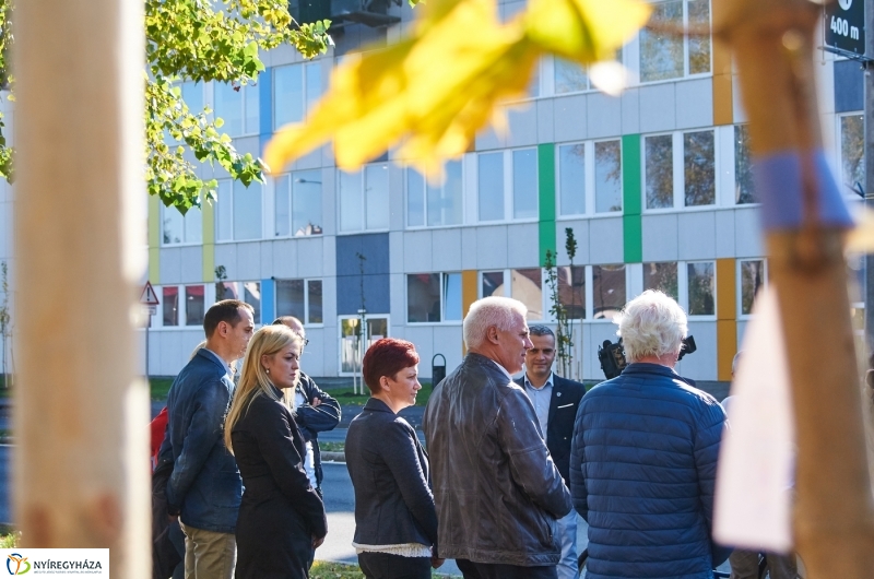 Fásítási program Nyíregyházán - fotó Szarka Lajos