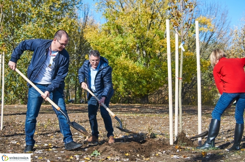 Fásítási program Nyíregyházán - fotó Szarka Lajos