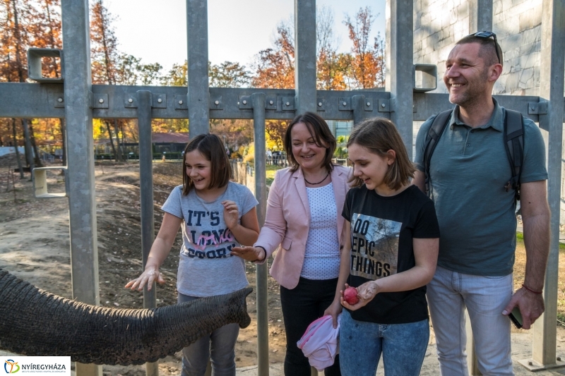 Megérkezett az 500.000. látogató a Nyíregyházi Állatparkba