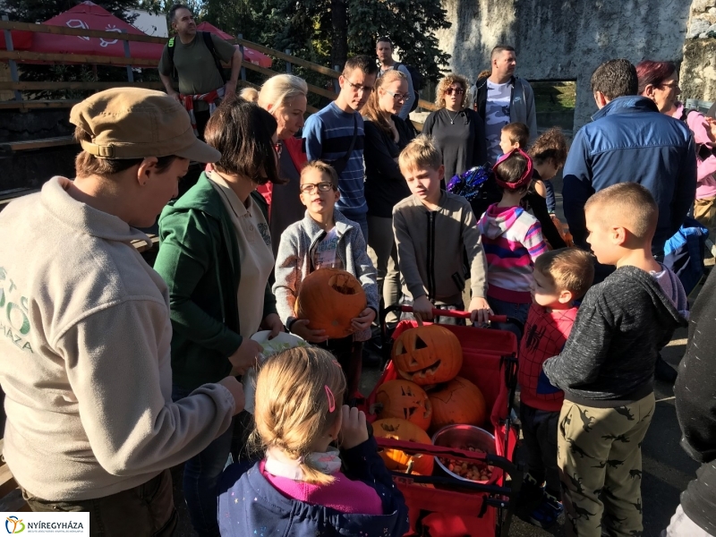 Halloween a Nyíregyházi Állatparkban