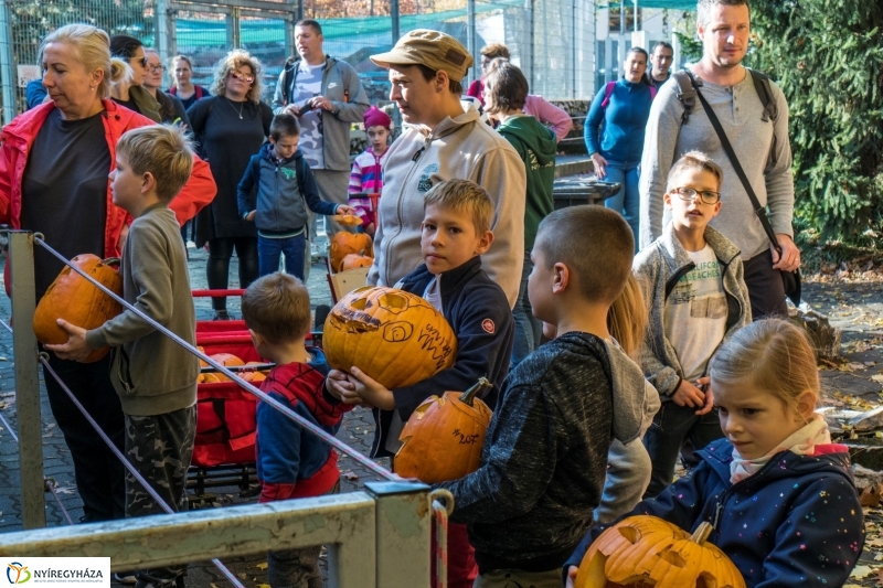 Halloween a Nyíregyházi Állatparkban