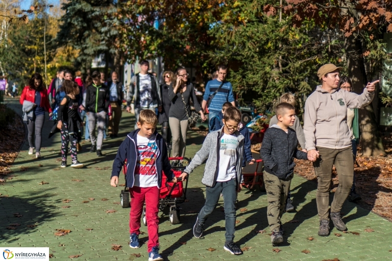 Halloween a Nyíregyházi Állatparkban