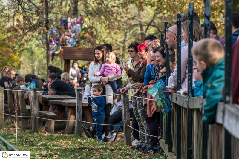 Hosszú hétvégén irány az Állatpark! - fotó Kohut Árpád