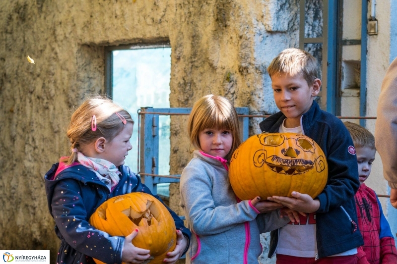 Hosszú hétvégén irány az Állatpark! - fotó Kohut Árpád