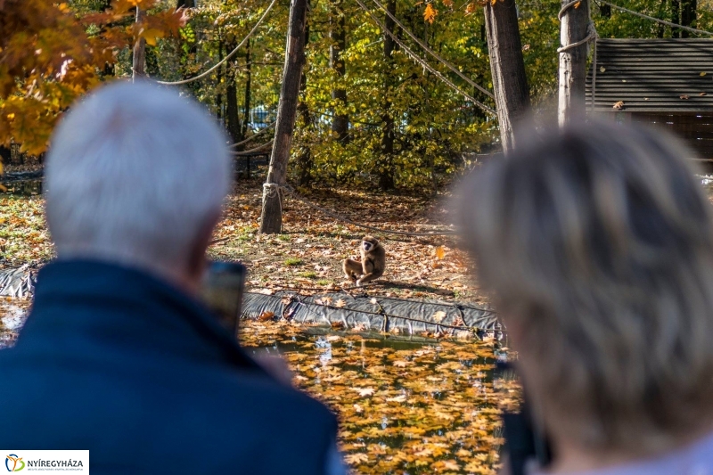 Hosszú hétvégén irány az Állatpark! - fotó Kohut Árpád