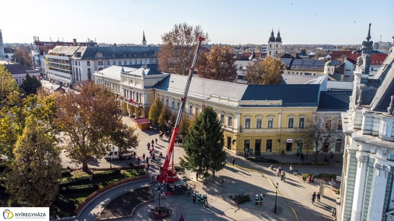 Megérkezett a karácsonyfa a Kossuth térre - fotó Kohut Árpád