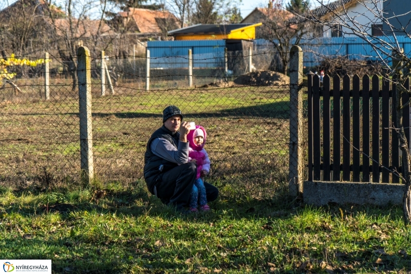 Megérkezett a karácsonyfa a Kossuth térre - fotó Kohut Árpád