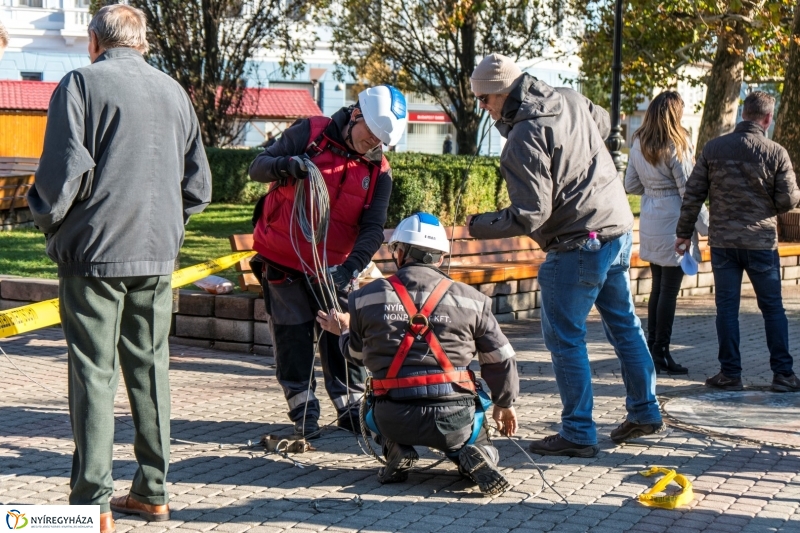 Megérkezett a karácsonyfa a Kossuth térre - fotó Kohut Árpád