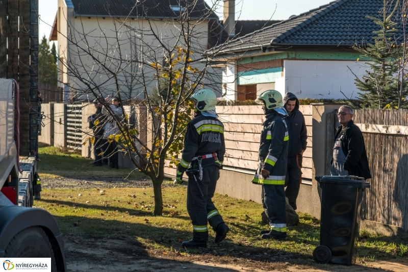 Megérkezett a karácsonyfa a Kossuth térre - fotó Kohut Árpád