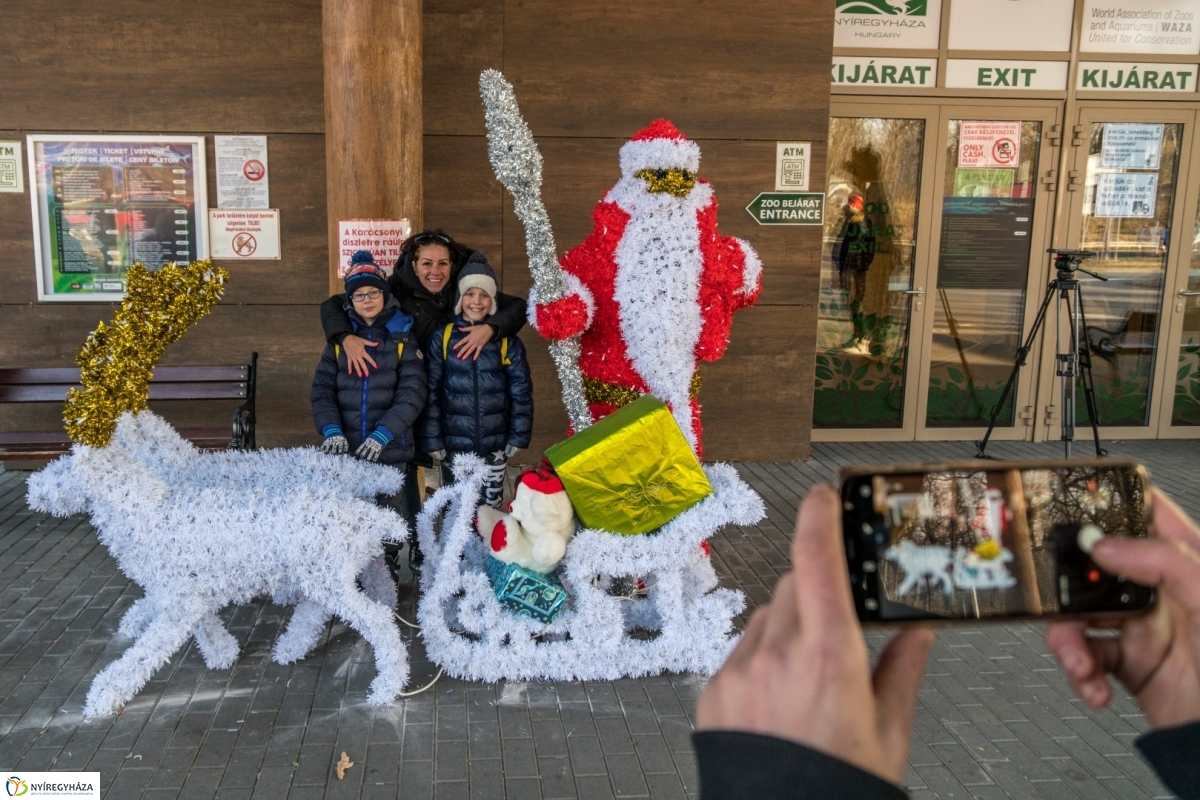 100 forintos nap a Nyíregyházi Állatparkban - fotó Kohut Árpád