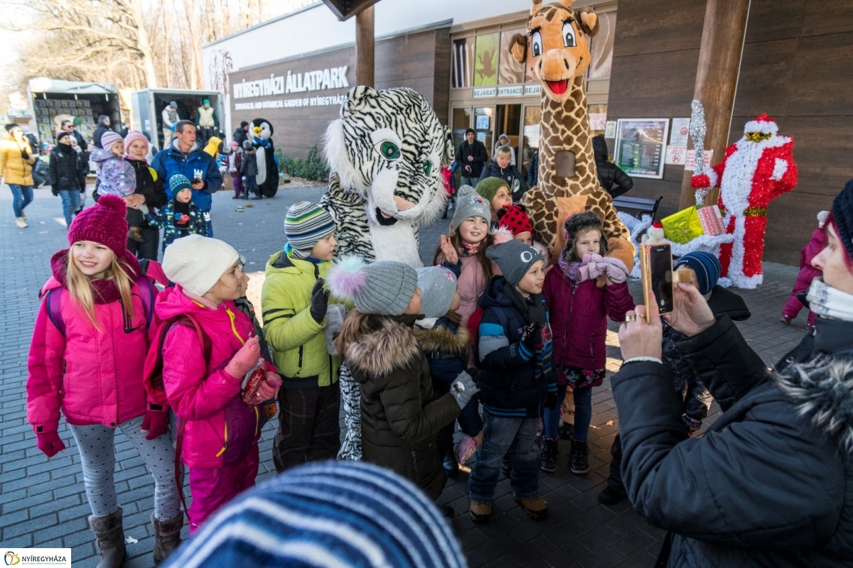 100 forintos nap a Nyíregyházi Állatparkban - fotó Kohut Árpád