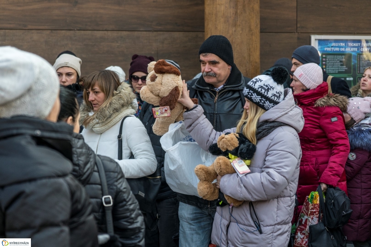 100 forintos nap a Nyíregyházi Állatparkban - fotó Kohut Árpád