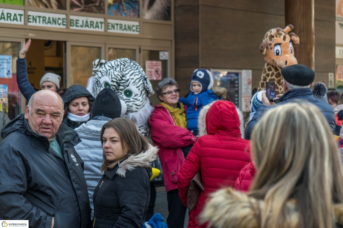 100 forintos nap a Nyíregyházi Állatparkban - fotó Kohut Árpád