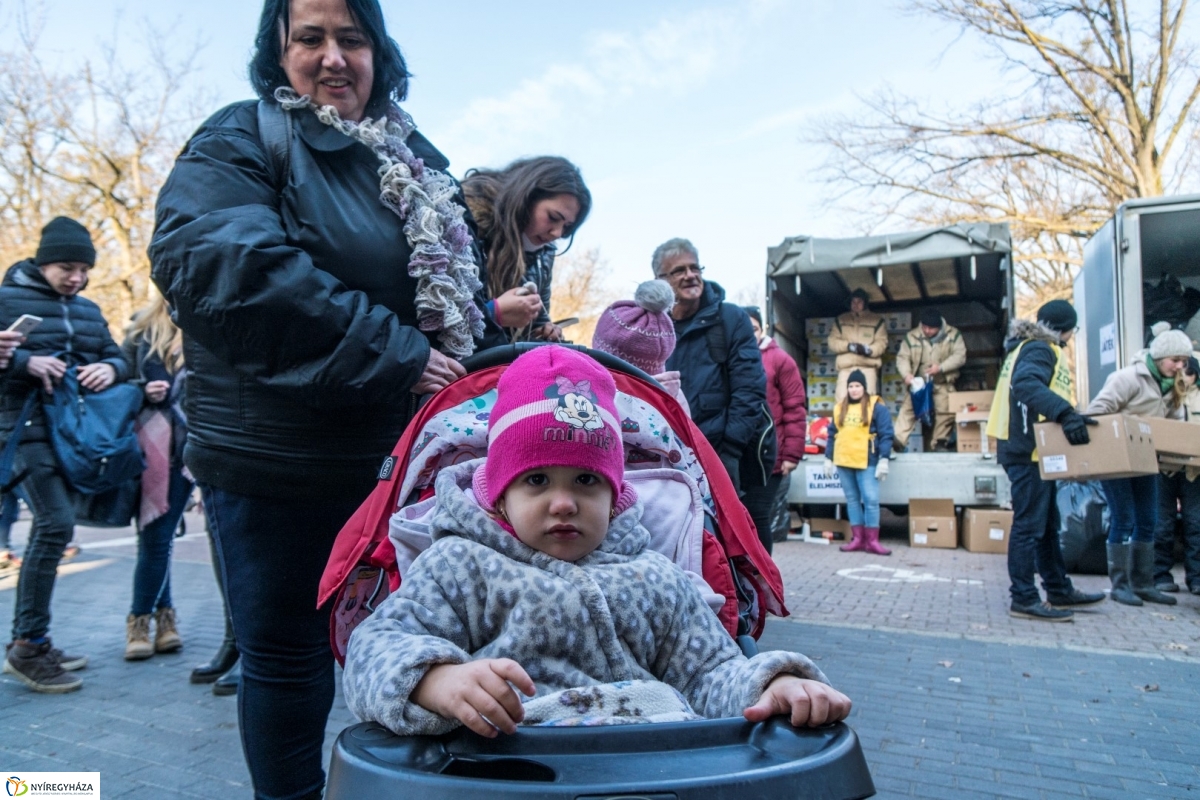 100 forintos nap a Nyíregyházi Állatparkban - fotó Kohut Árpád