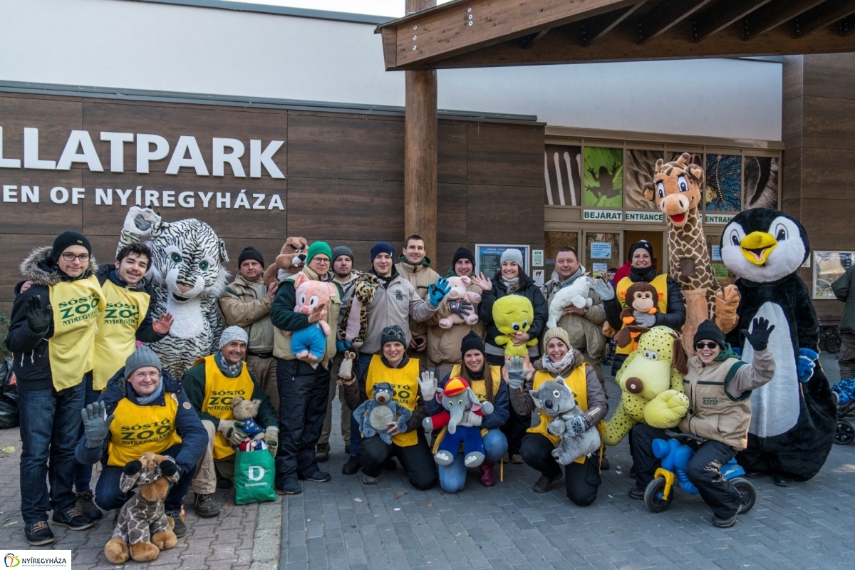 100 forintos nap a Nyíregyházi Állatparkban - fotó Kohut Árpád