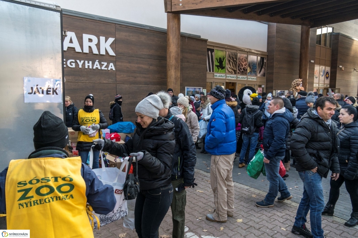 100 forintos nap a Nyíregyházi Állatparkban - fotó Kohut Árpád