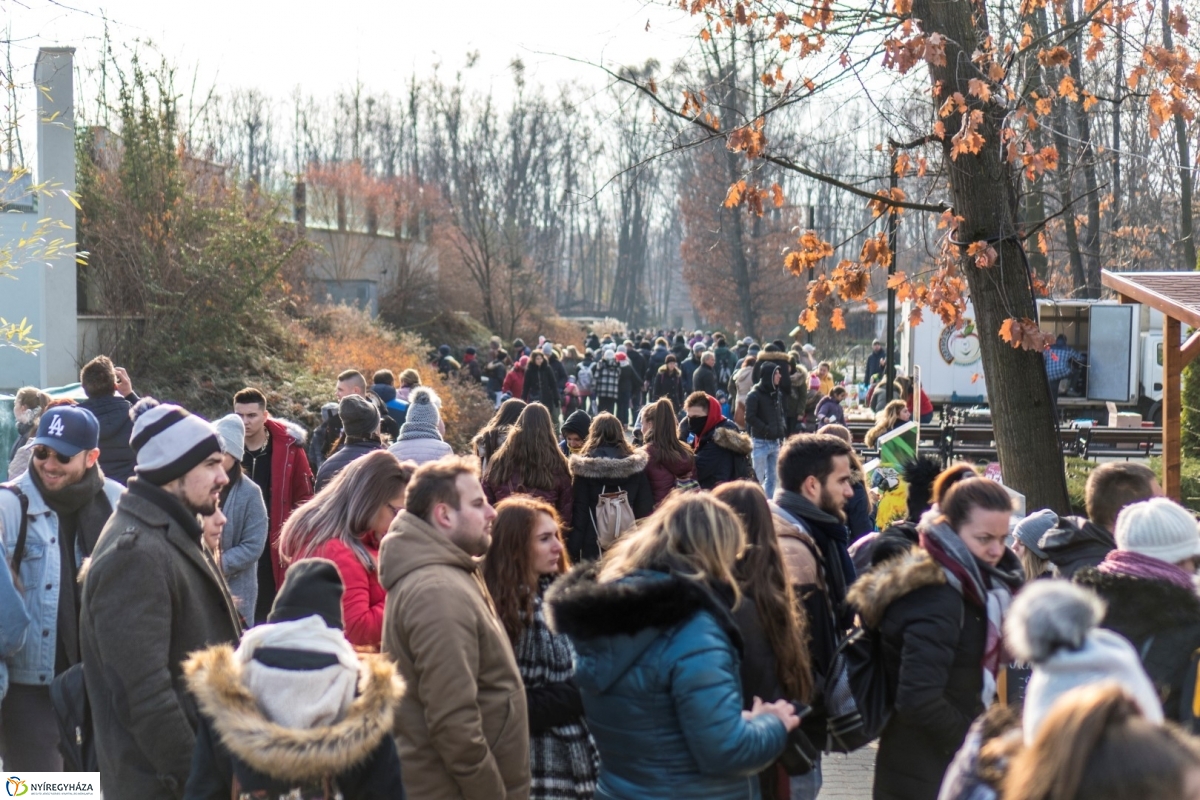 100 forintos nap a Nyíregyházi Állatparkban - fotó Kohut Árpád